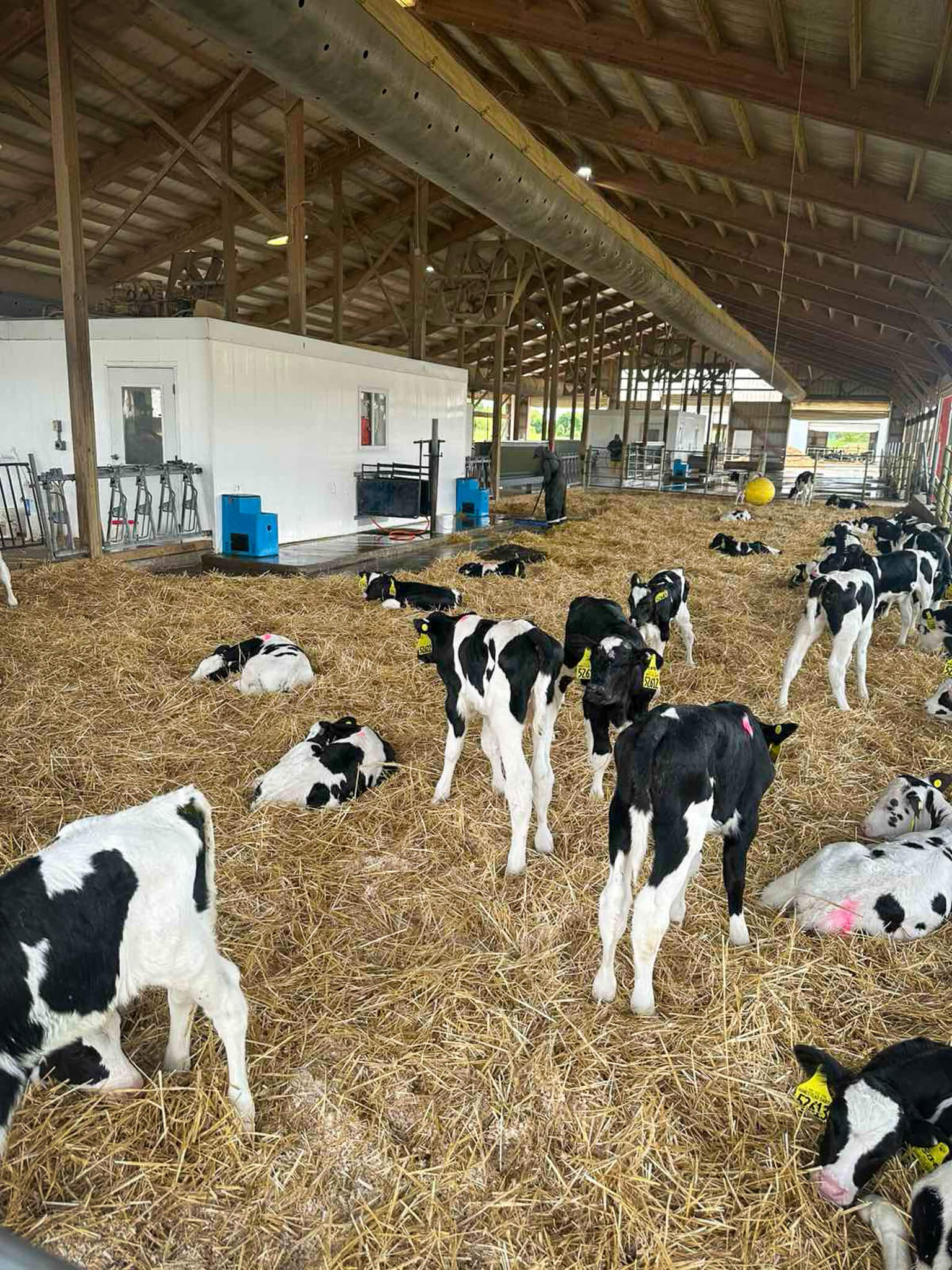 Managing Insect Resistance